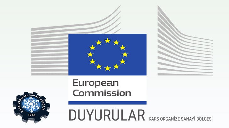 Dış İlişkiler ve Avrupa Birliği Proje Çağrısı 